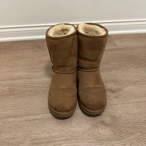 UGG Classic Short Boot in Chestnut